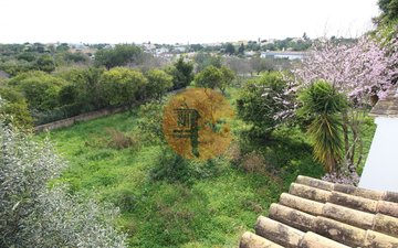 Property slide 25