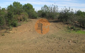 Property slide 26