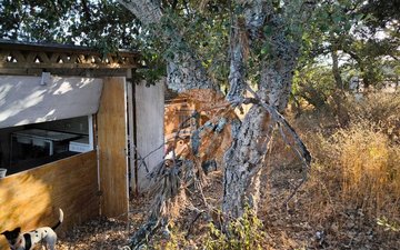 Property slide 22