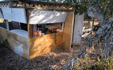 Property slide 23