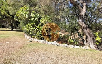 Property slide 42