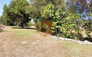 Property slide 47