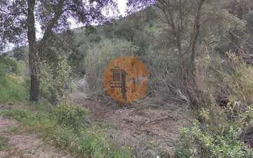 Property slide 35