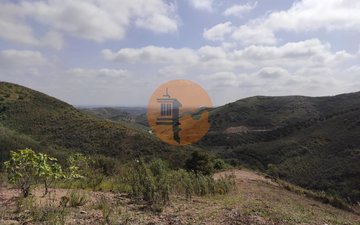 Property slide 42