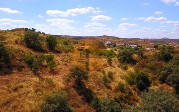 Property slide 11