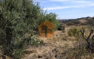 Property slide 30