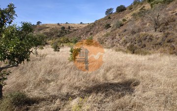 Property slide 46