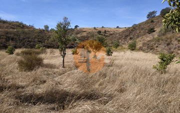 Property slide 49