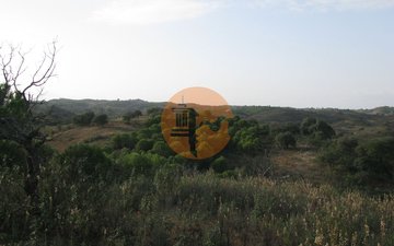 Property slide 29