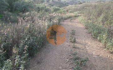 Property slide 30