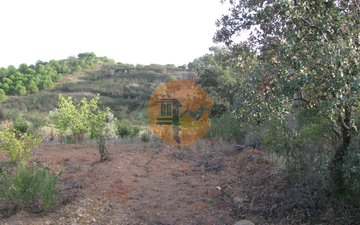Property slide 33