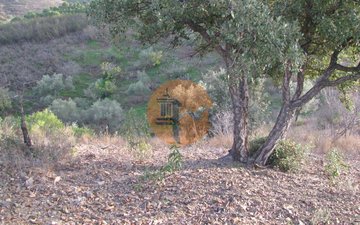 Property slide 22