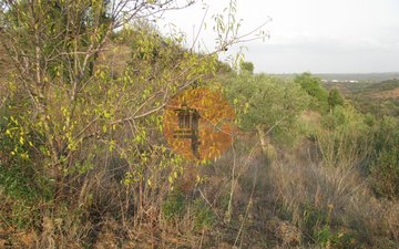 Property slide 25