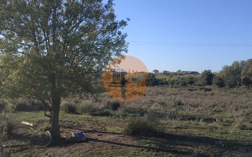Property slide 39