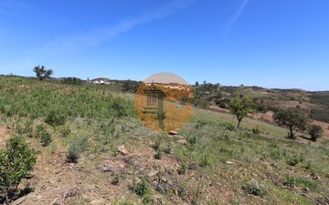 Property slide 12