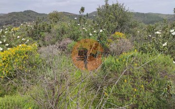 Property slide 28