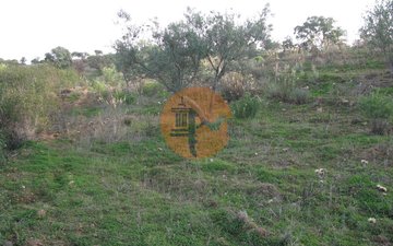 Property slide 24