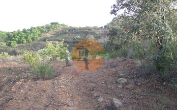 Property slide 33