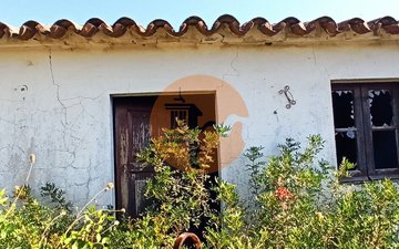 Property slide 13