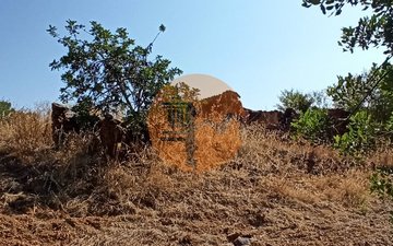 Property slide 27