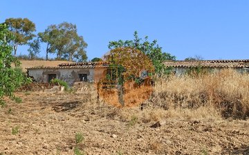Property slide 29