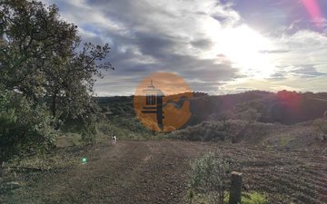 Property slide 20