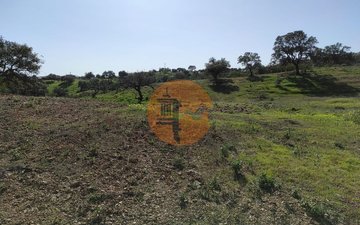 Property slide 8