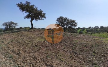 Property slide 9