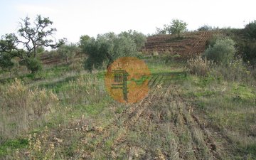 Property slide 35