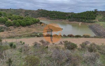 Property slide 9