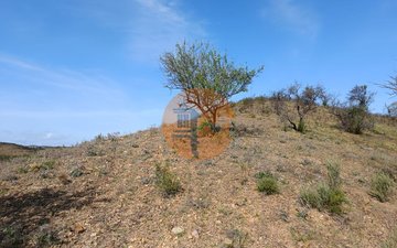 Property slide 12