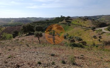 Property slide 24