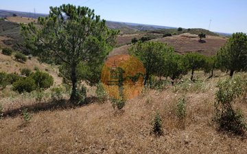 Property slide 21