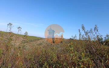 Property slide 32