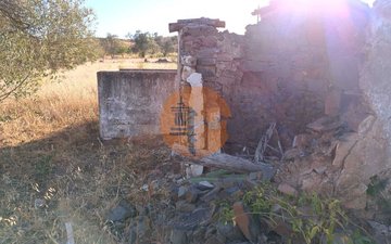 Property slide 19
