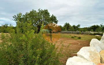Property slide 11