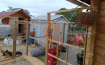 Property slide 17