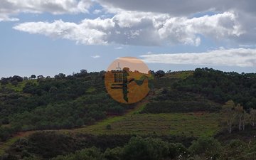 Property slide 27