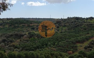 Property slide 34