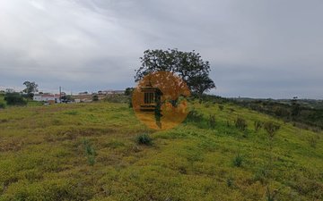 Property slide 30