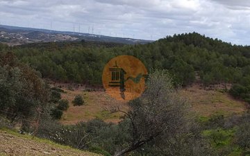 Property slide 23