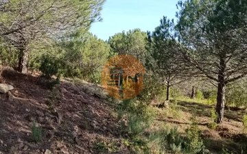 Property slide 31
