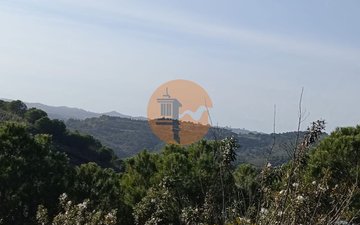 Property slide 33