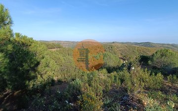 Property slide 50