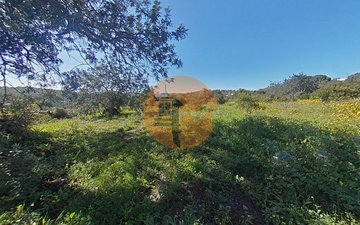 Property slide 25