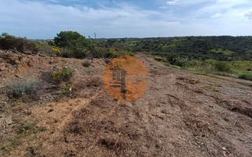 Property slide 6