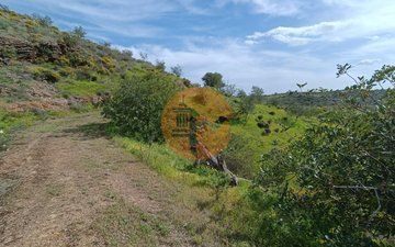 Property slide 18