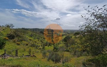 Property slide 22
