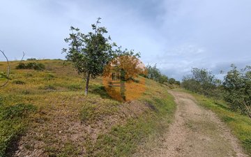 Property slide 26