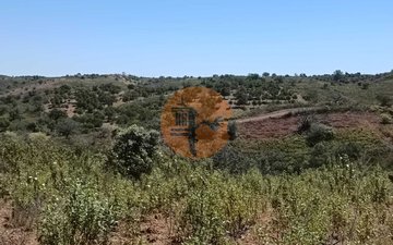 Property slide 31